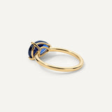 The Sapphire Horizon
