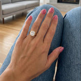 The Cigar Bezel