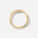 Curved Multishape